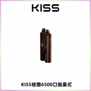 KIS5WAGOO哇酷6500口拋棄式 | 自由混搭雙口味 | 雙芯組合